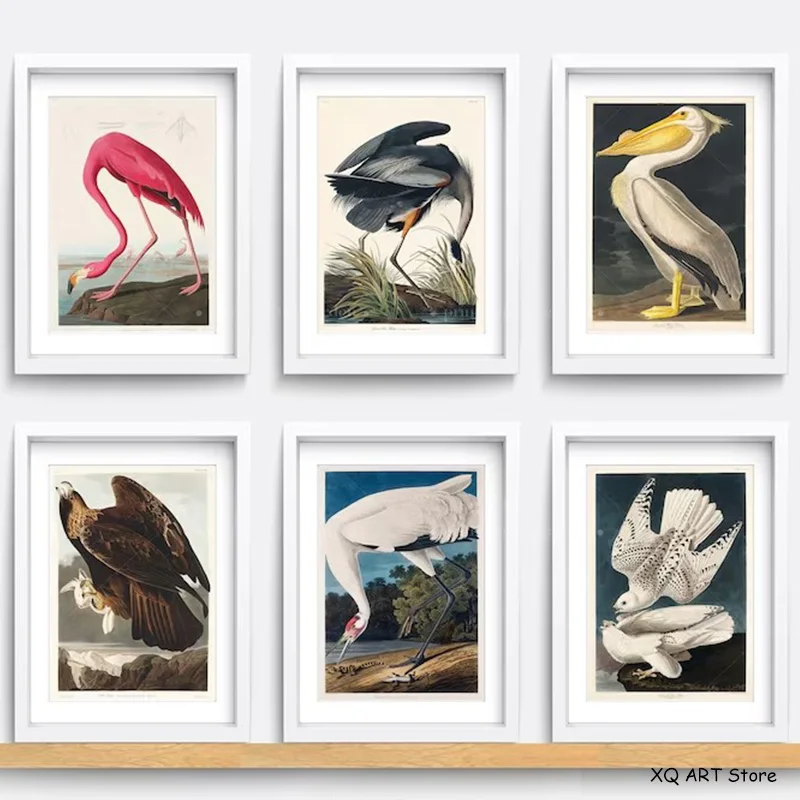 

Vintage Bird Prints Retro Animal Art Natural History Canvas Paintings HD Pictures Wall Art For Living Room Home Decor Frameless