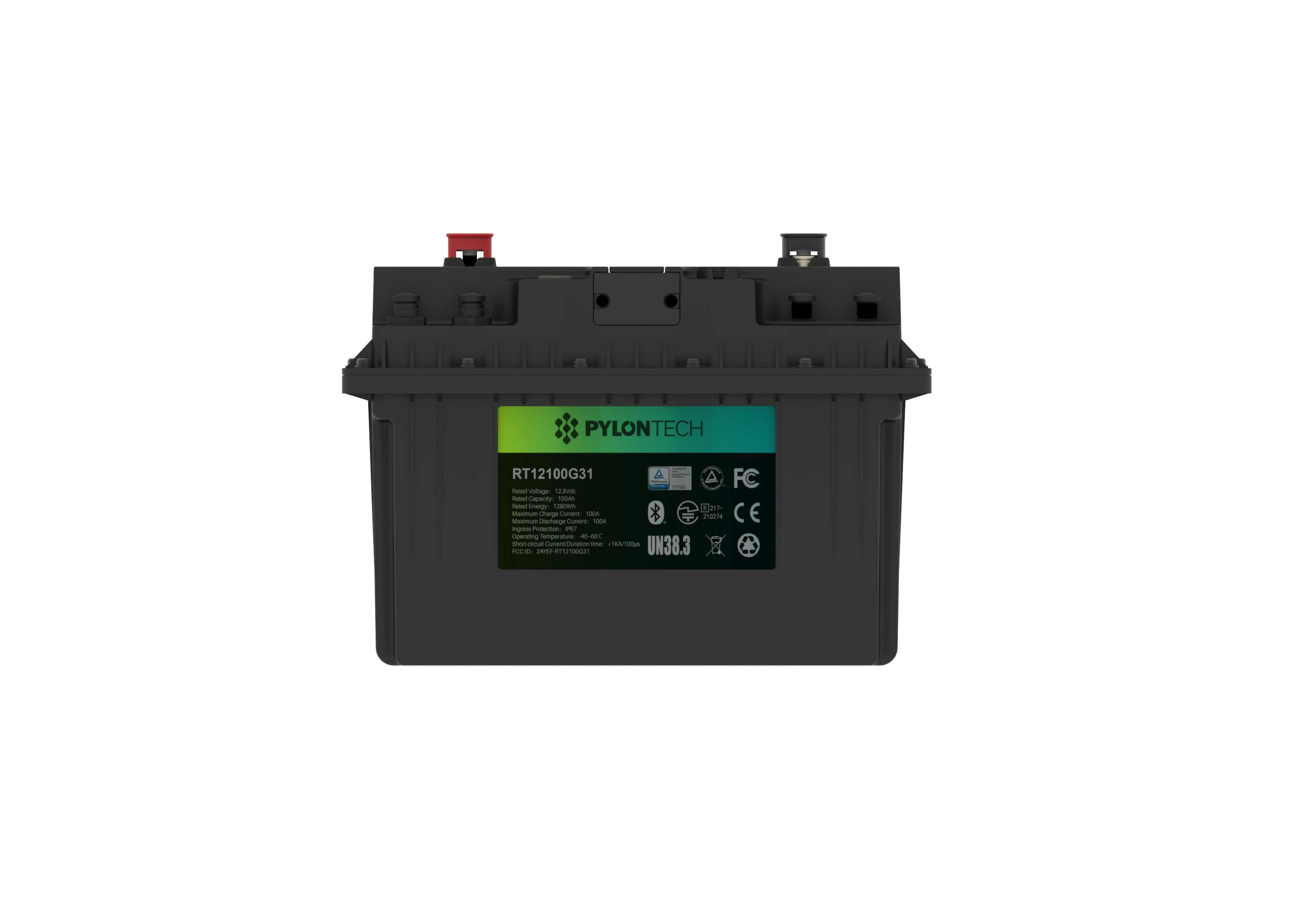 

12V100Ah Lithium Iron Phosphate Battery with Bluetooth FEDEX DHL WORLDWIDE SHIPPING