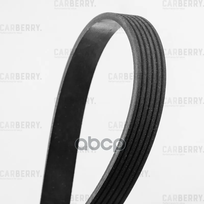 Ремень Поликлиновой Universal CARBERRY арт. 6PK1090
