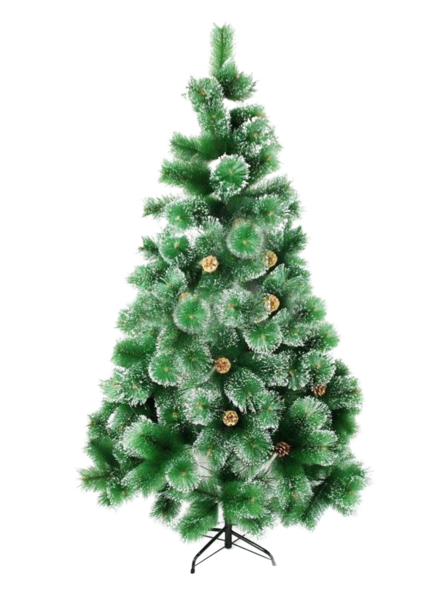 центральная елка в москве. поиска вечнозеленой елки. губернаторская елка новосибирск. елки стали. елки стали.