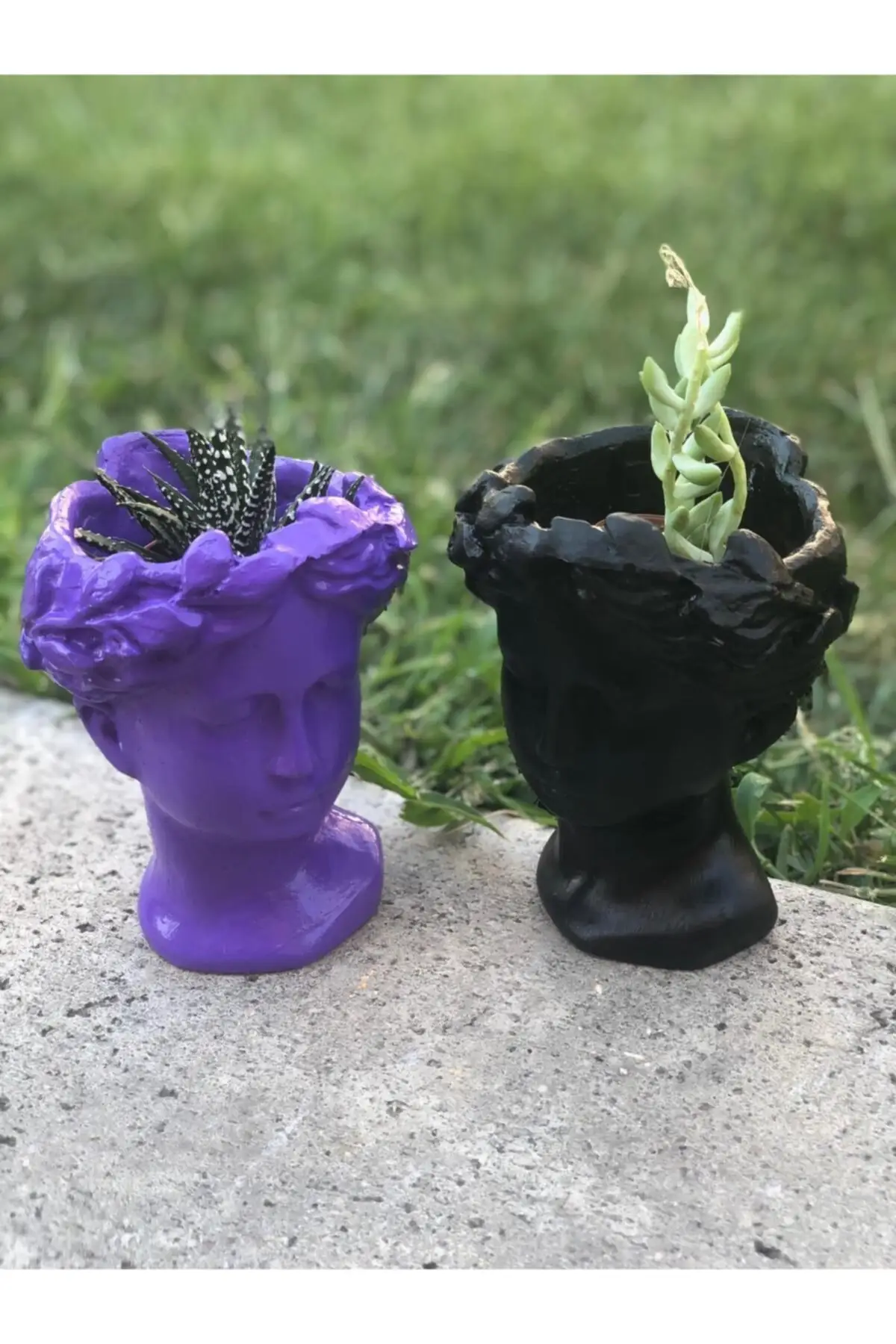 Black & Purple Bust Pot of 2