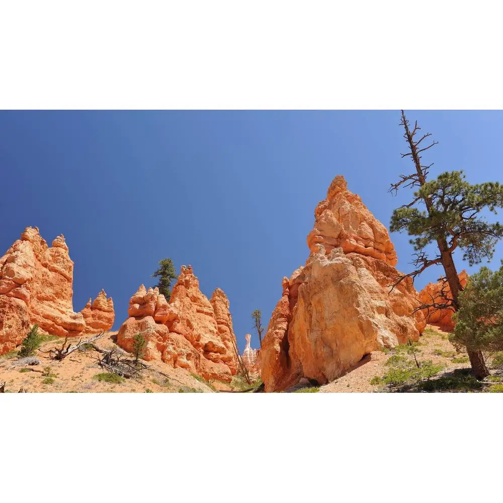 LinxOne картина &quotБрайс Каньон&quot на экокоже / декор для дома интерьер подарок стену