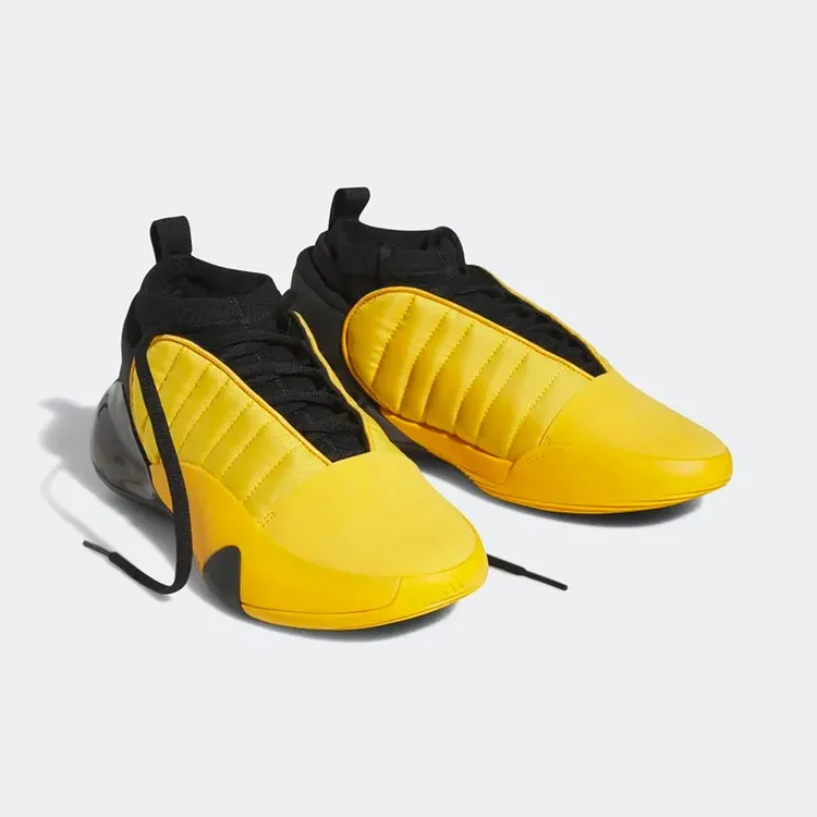 Рисунок 4 - Мужская баскетбольная обувь Adidas