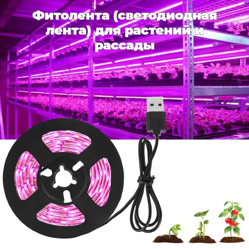 Где Можно В Москве Купить Фитоленту Оптом