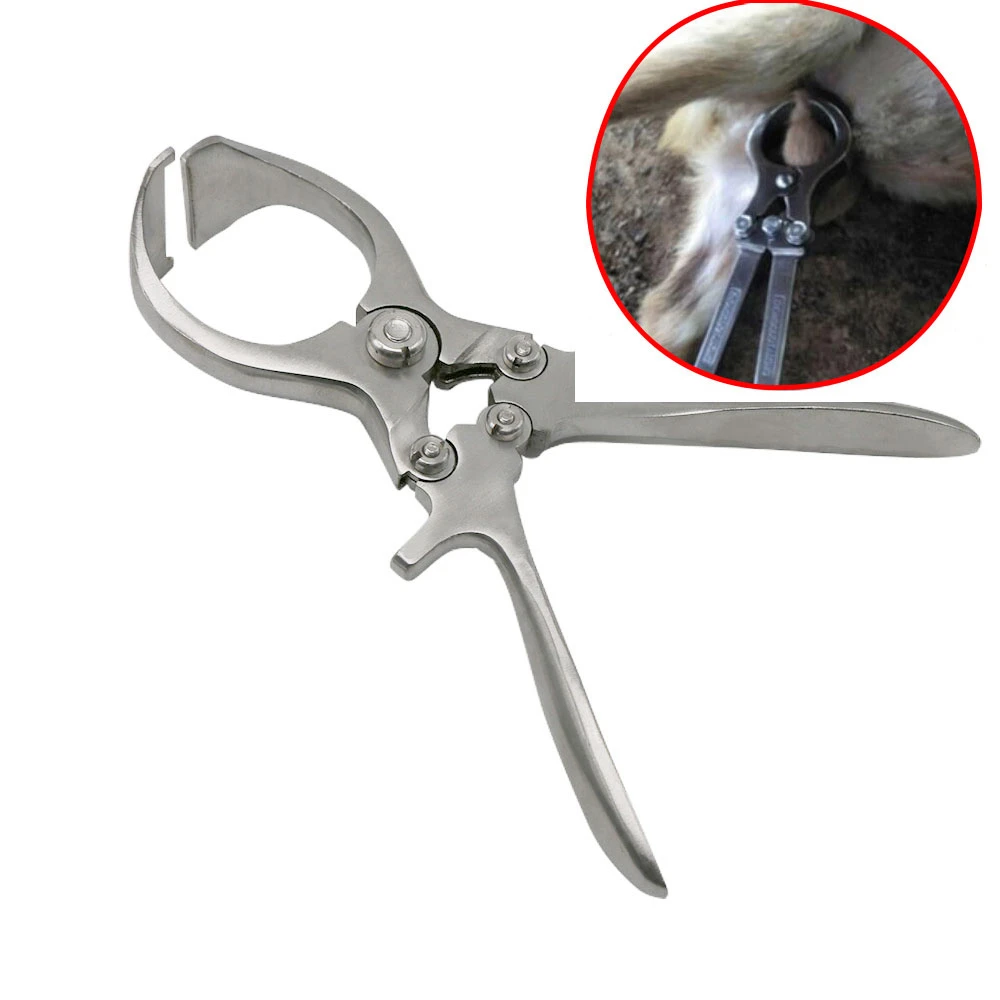 

Livestock Without Blood Castration Pliers Pig Sheep Testicular Castration Clamp Veterinary Tools 1Pc Farm Animal Scrotum Clamps