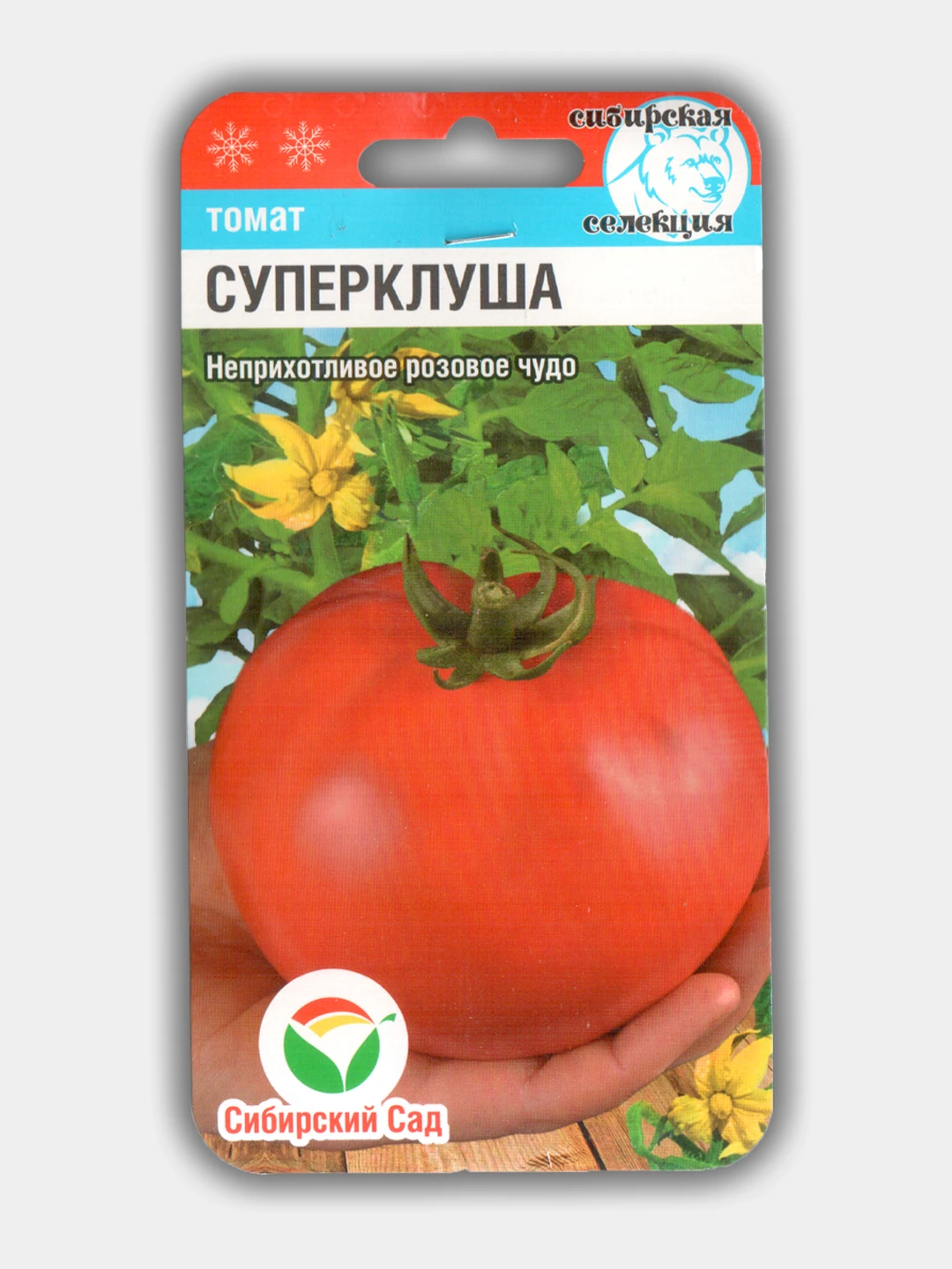 Томат аскет. Суперклуша характеристика и отзывы томат. Томат аскет. Семена томата аскет. Томат корнет 12шт агросемтомс.