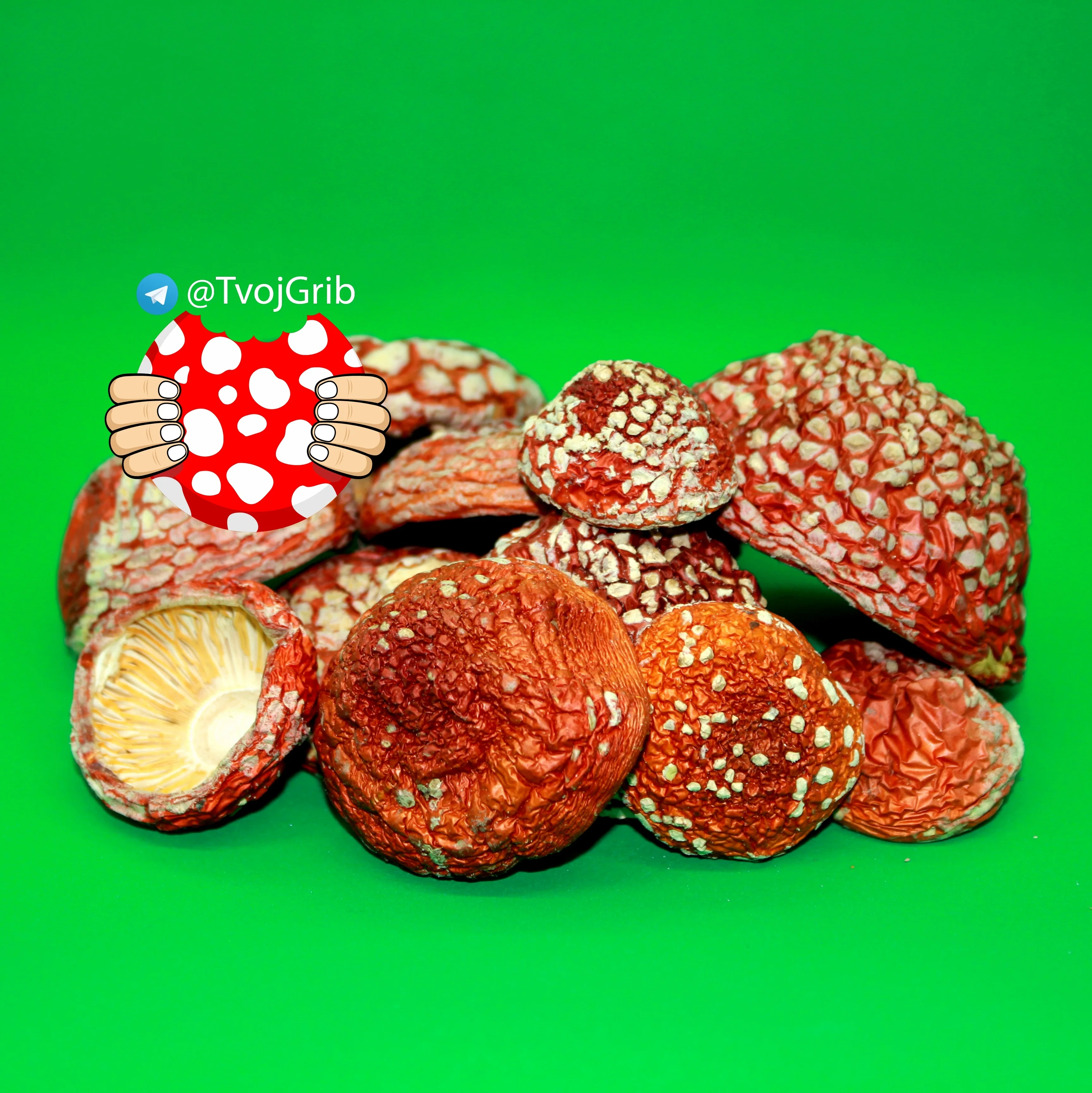 Мухомор Красный Купить