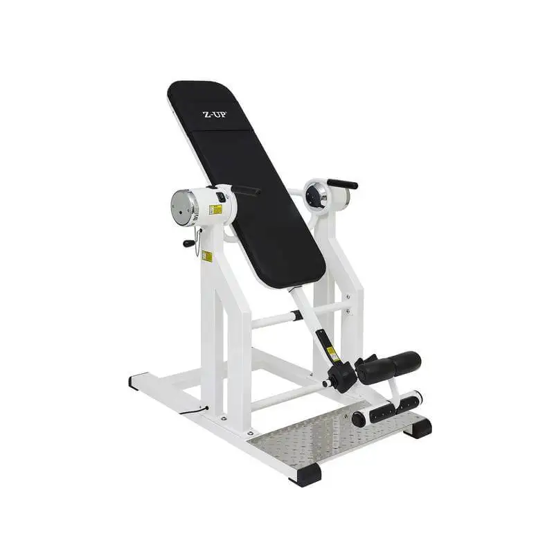 Рисунок 2 - Инверсионный стол Z-UP 2S