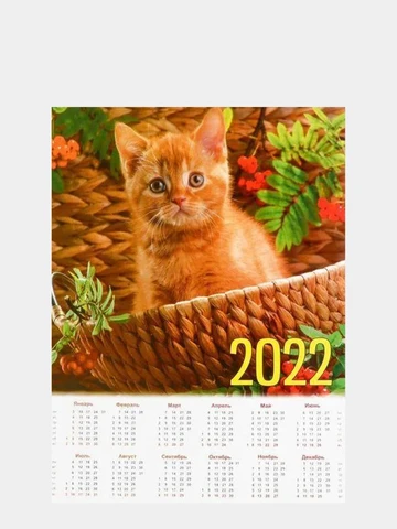 Календарь с кошками - купить в г. Уфа с доставкой завтра | AliExpress