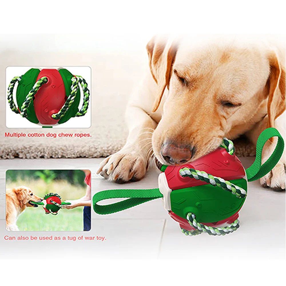 

The latest multi-functional outdoor dog toy in 2022, different playing experience, improve the dog's interest in playing