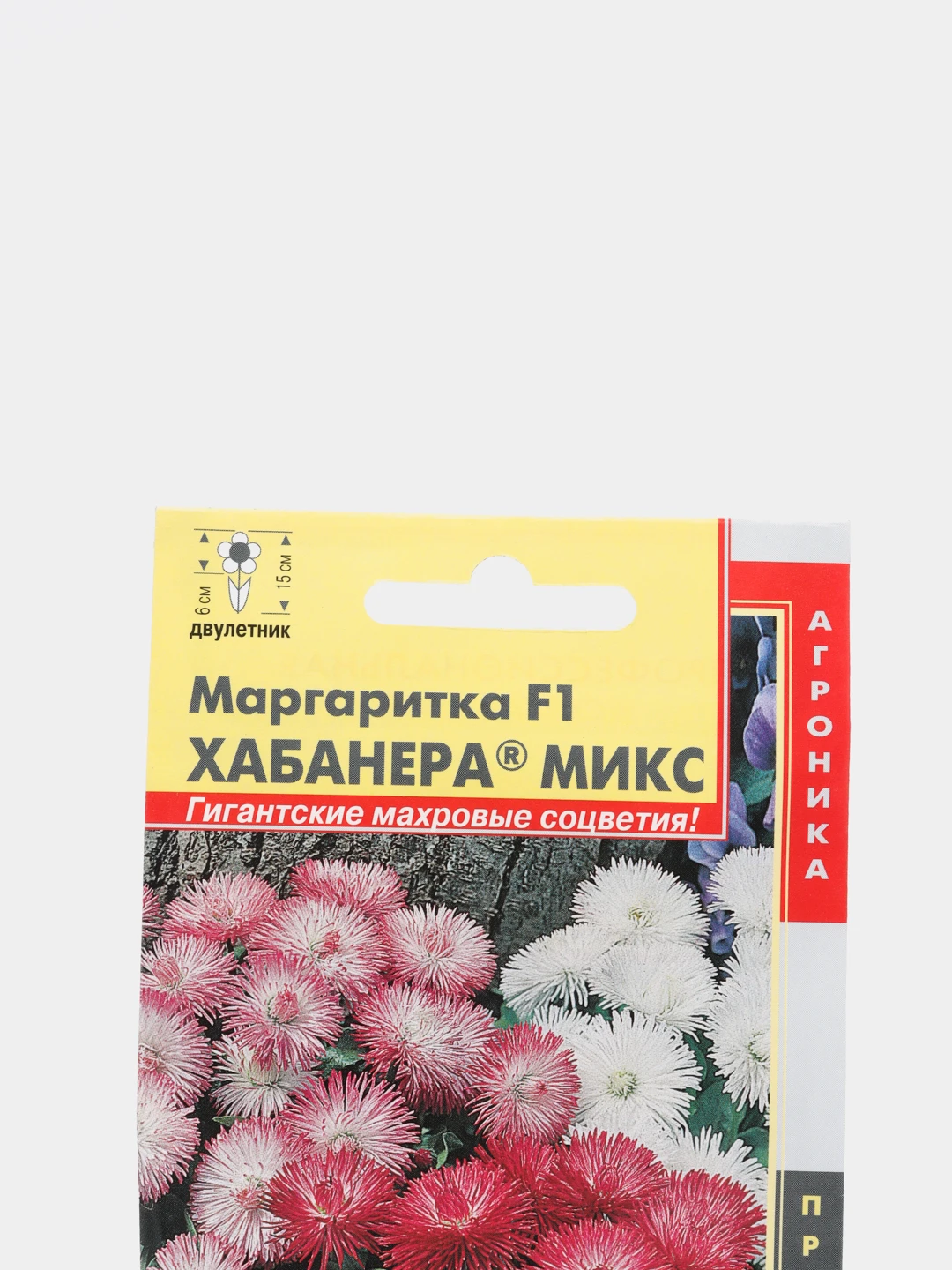Маргаритки Семена Купить