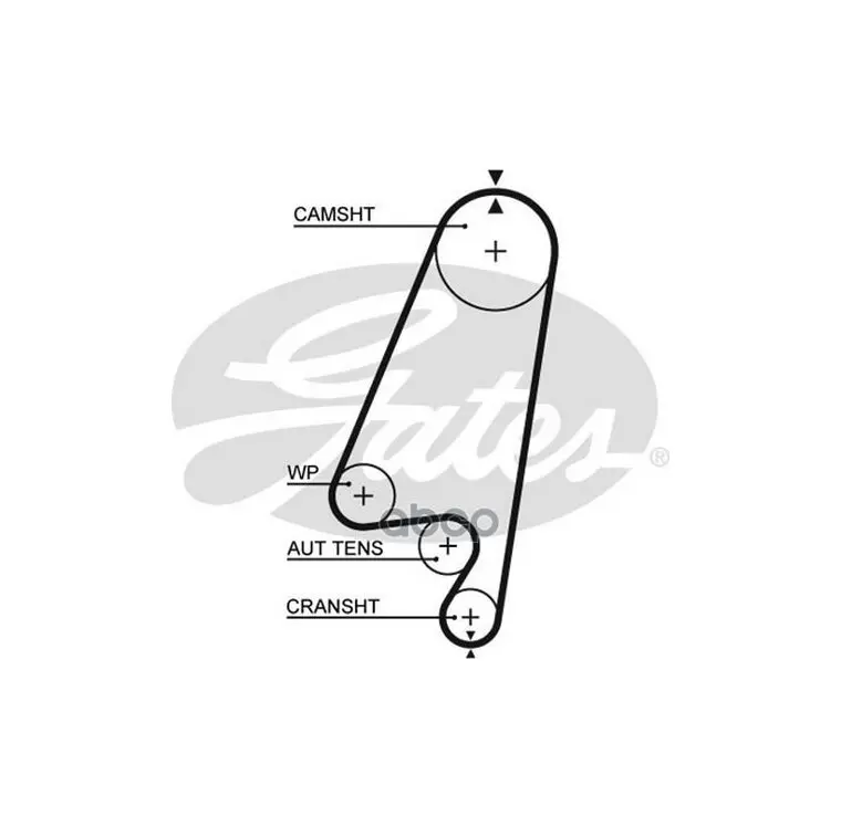 Ремень опель вектра б 1.6. Gates 5367xs. Ремень ГРМ HTD 5367xs. Gates 5367xs характеристики.