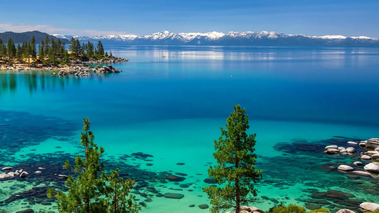 LinxOne картина на холсте  