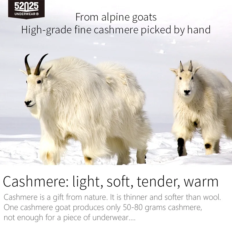 52025 Men Thermal Underwear with Cashmere Soft Warm Comfortable Premium Underwear with Panels Long Johns Men Warm Thermal Base