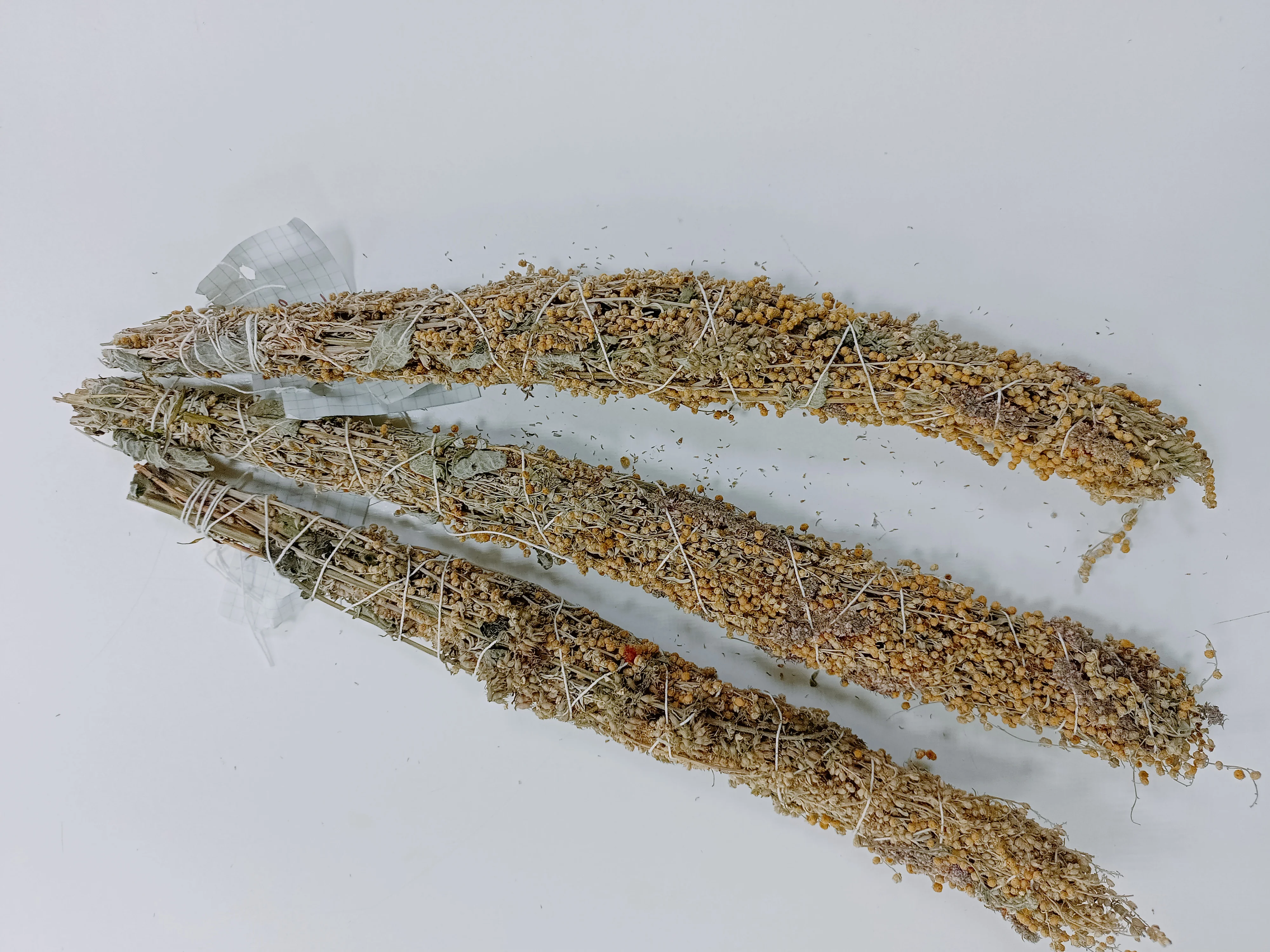 Мята длиннолистная листья. Мелисса цветение. Сорняковая мята. Мята с полынью. Рецепты травяных сборов.