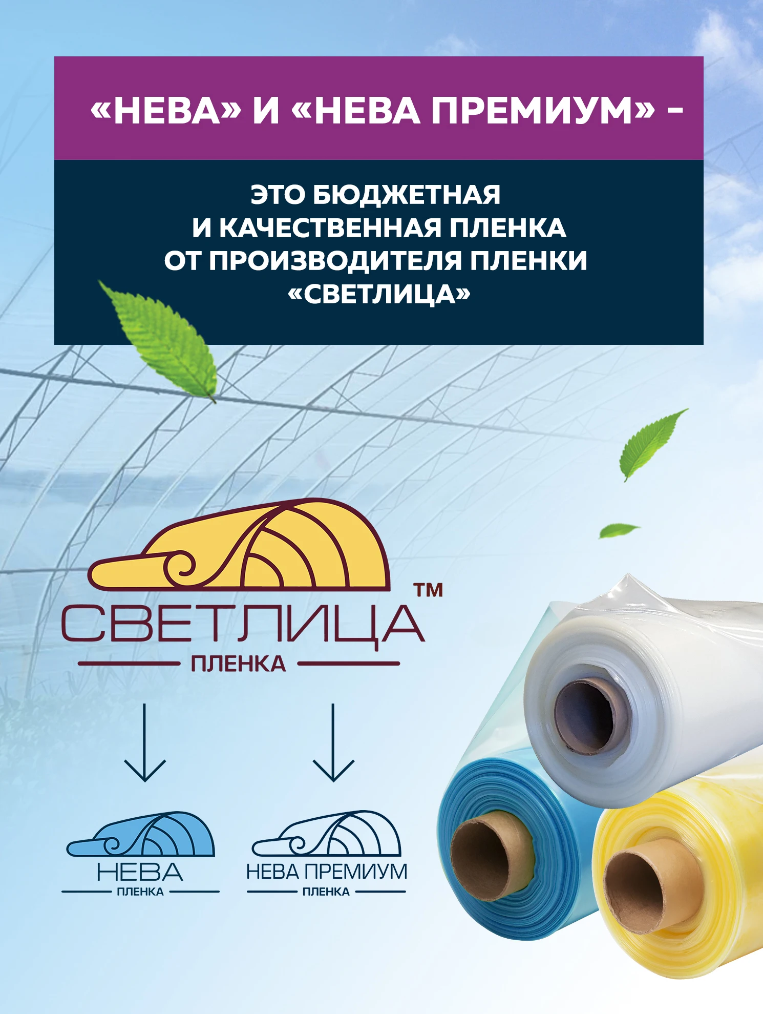 пленка светлица для теплиц и парников. тепличная плёнка светлица в городе краснодаре. плёнка светлица для теплиц. гидрофиловую плёнку. сертификат на пленку 150 микрон.