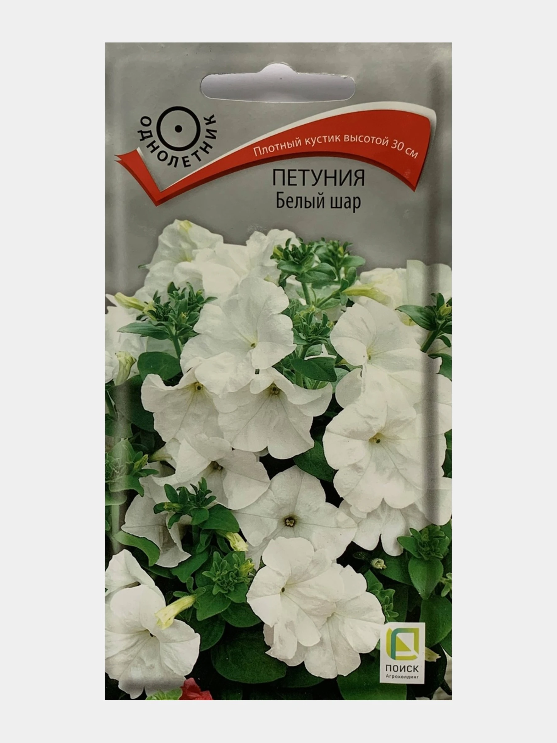 Петуния ампельная махровая белая. Петуния белый шар. Петуния белый шар. Петуния белая мелкая колумб. Петуния ампельная саксесс вайт.