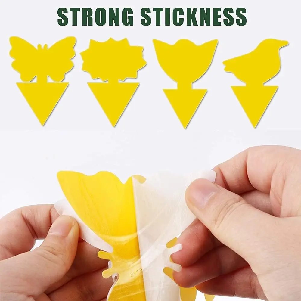 36 шт. Ловушки для грибка домашних растений