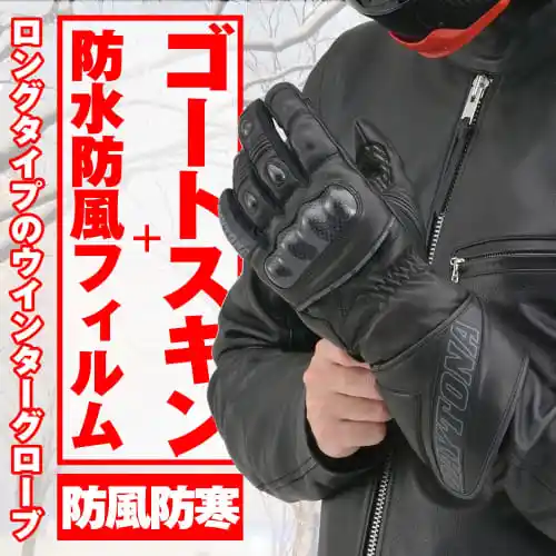 Мотоциклетные перчатки Daytona Осень/зима из натуральной кожи (Козья кожа)