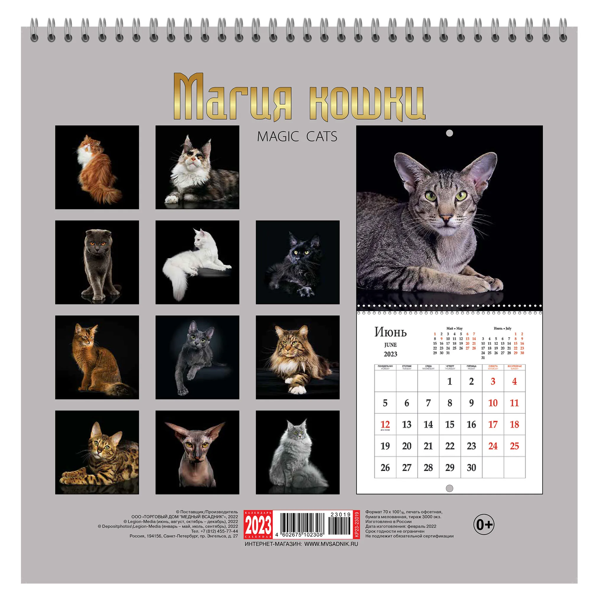 год кота и кролика 2023. календарь магии 2023. календарь 2023 год кота. календарики с котятами. символ года 2023 из фетра.
