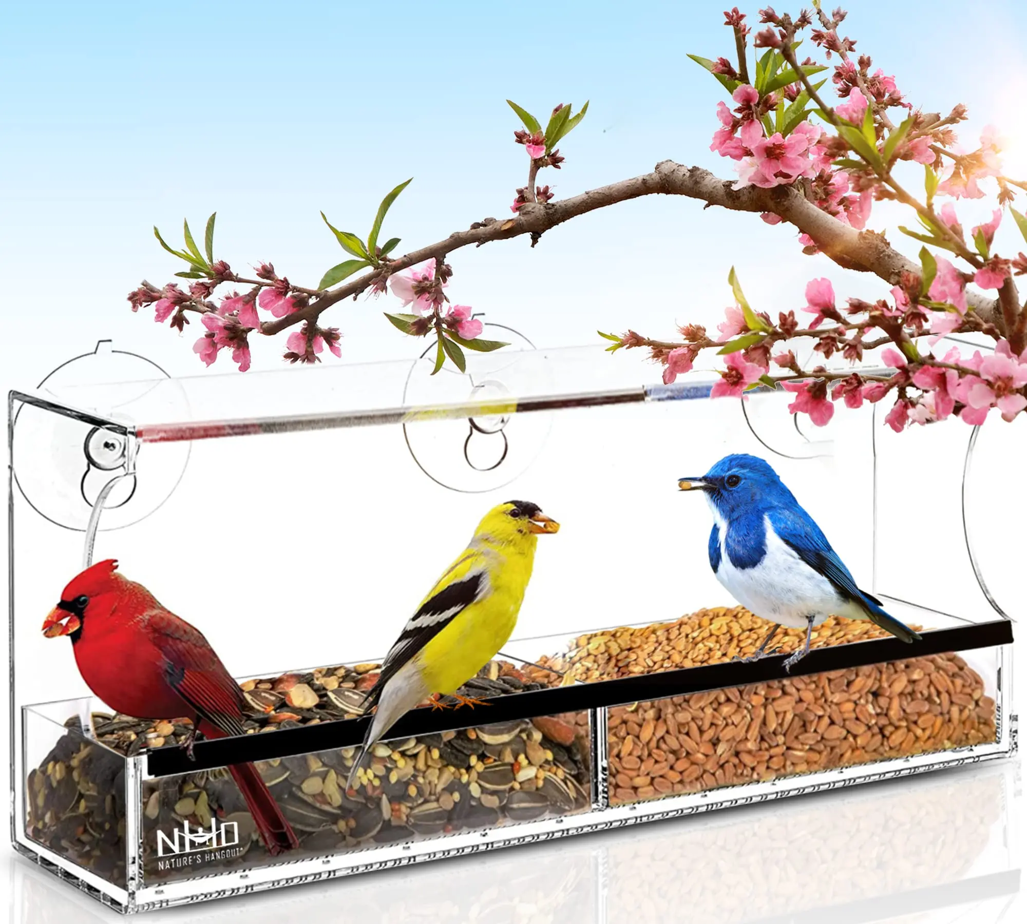 

Acrylic Transparent Bird Feeder Suction Cup Mounted Birdhouse Food Feeding Tool comedero pajaro birds accessoires