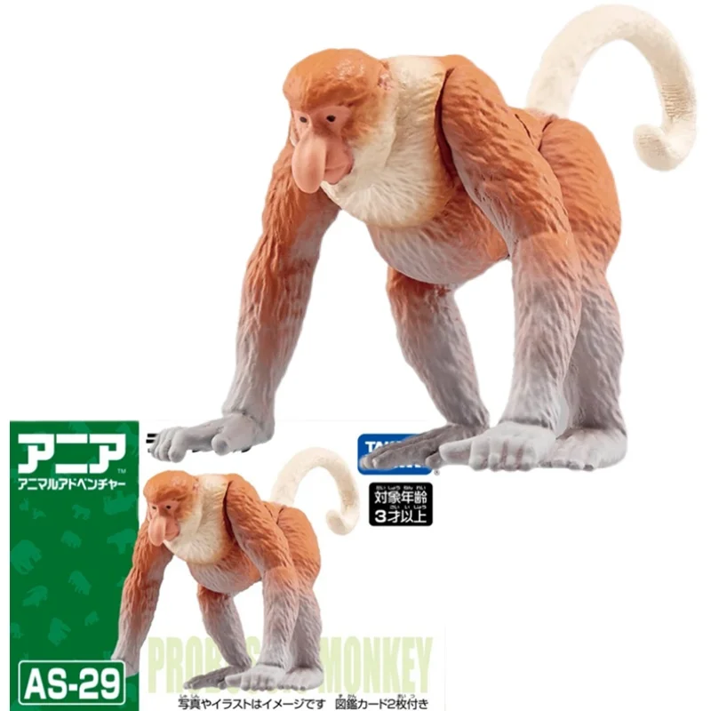 

Takara Tomy ANIA Animal Advanture AS-29 Proboscis Monkey Resin Kids Educational Mini Action Figure Toy Bauble