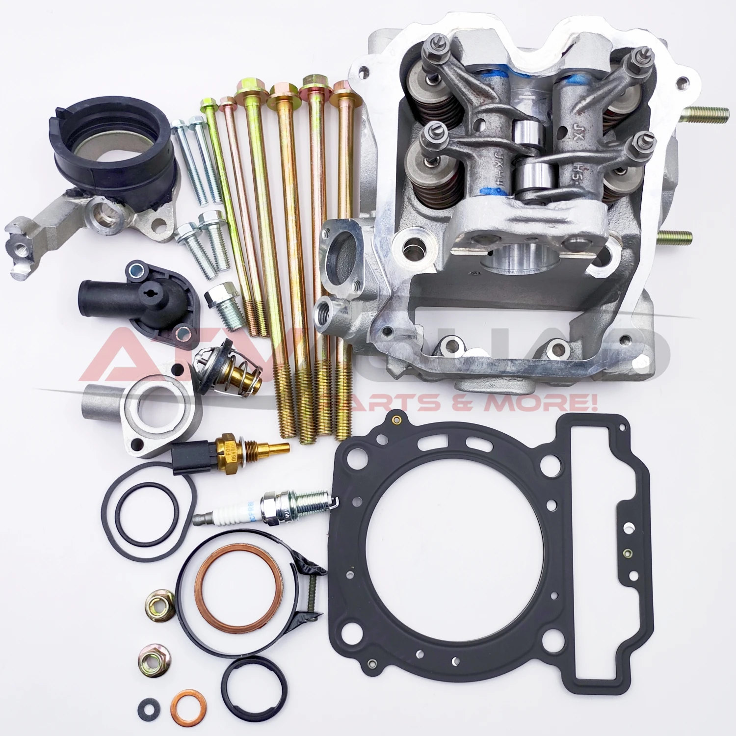 Рисунок 4 - Крышка головки цилиндра Assy для