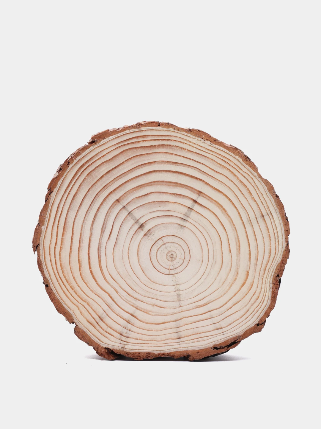 Средний годовой прирост сосны. Диаметр кроны сосны. Сосна кедровая диаметр кроны. Диаметр сосны. Деревья по высоте.