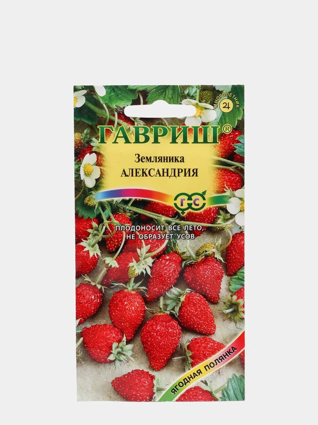 земляника александрия описание