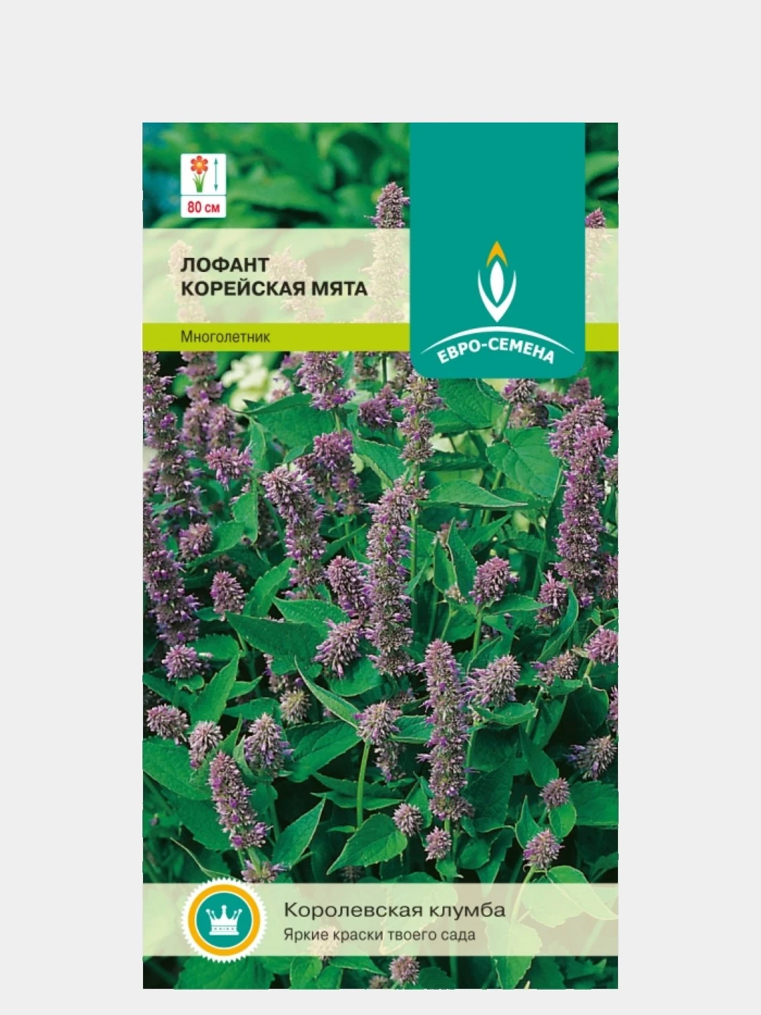 Лофант Тибетский Купить Семена В Москве