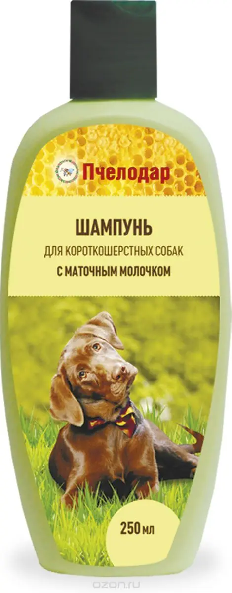 6 шт. Пчелодар Шампунь с маточным молочком для короткошерстных собак 250мл 0 25 кг 41263