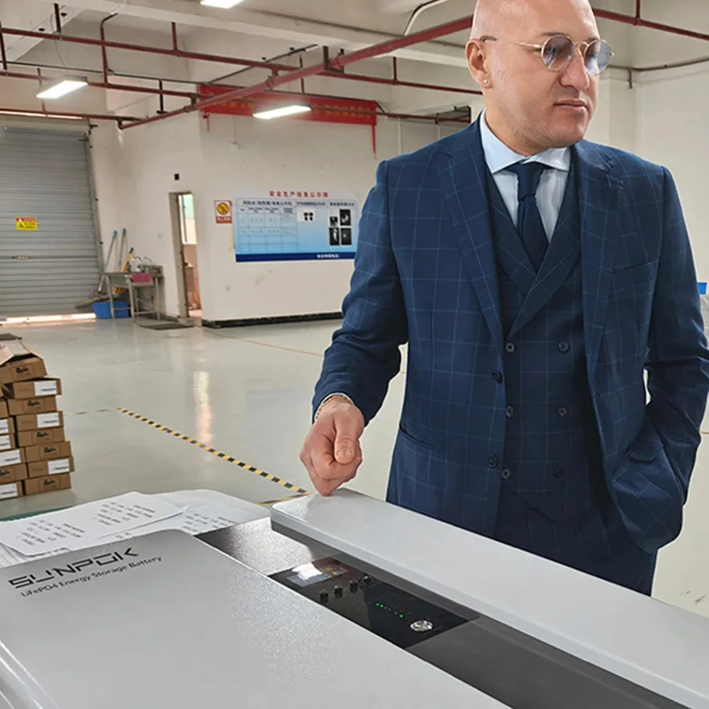 Литий-ионный интегрированный инвертор sunv 48 в 10 кВтч Powerwall Lifepo4 хранилище