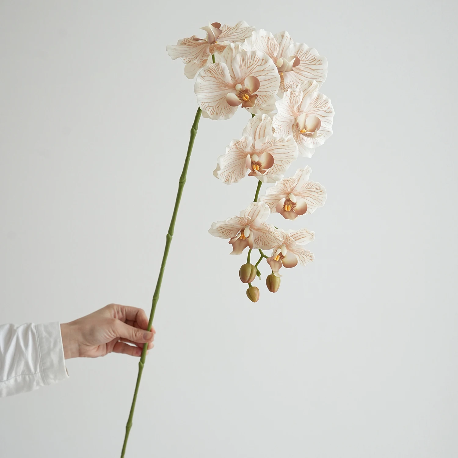 

Искусственные орхидеи фаленопсис 9 головок