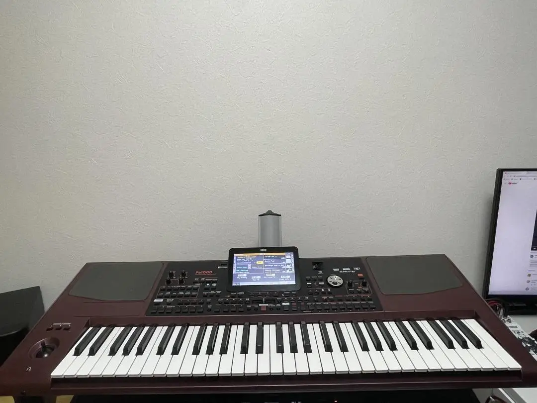 

100% OFFICIAL Korg Pa1000 Professional Arranger