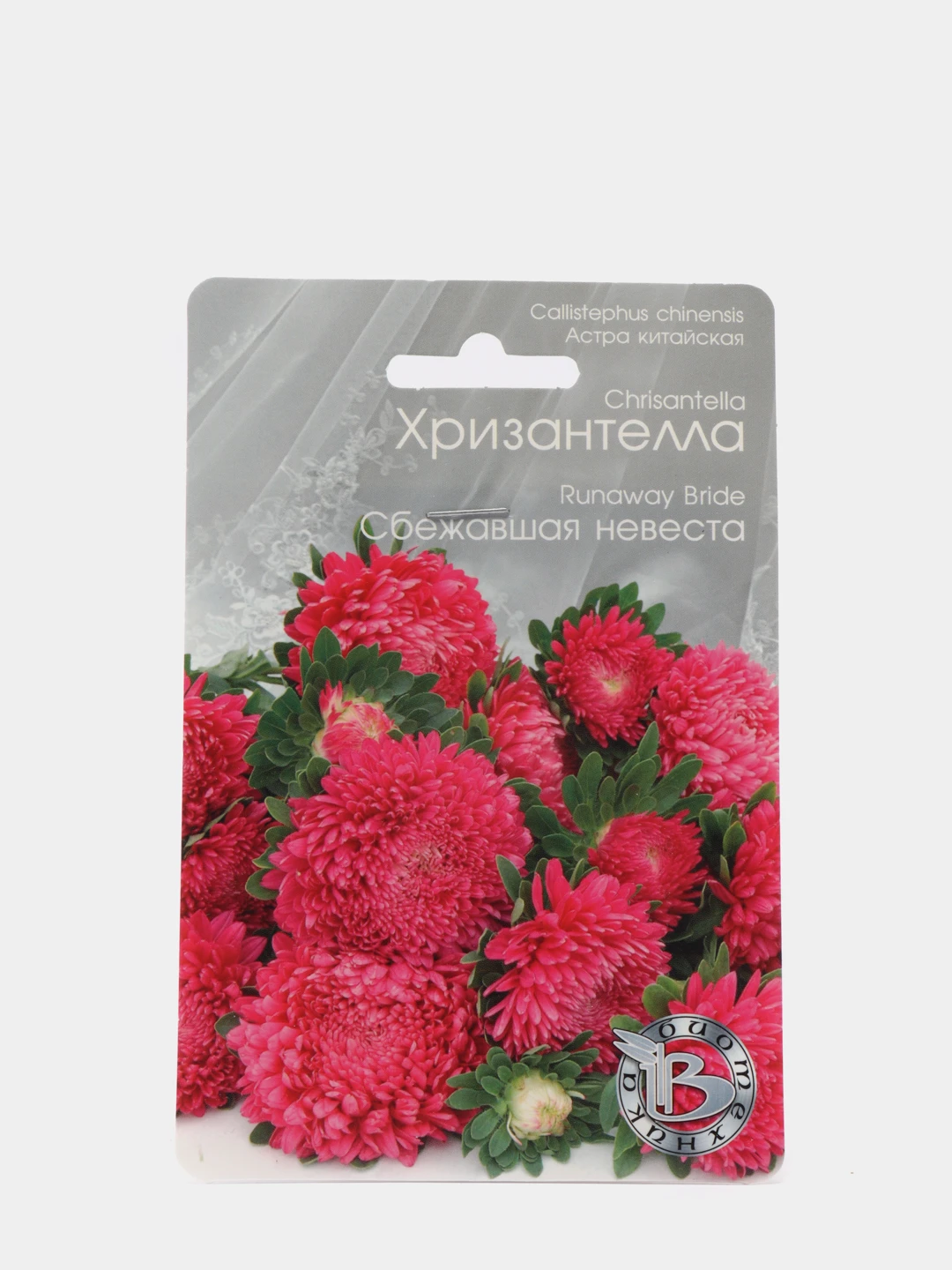 Астра Хризантелла Купить Семена