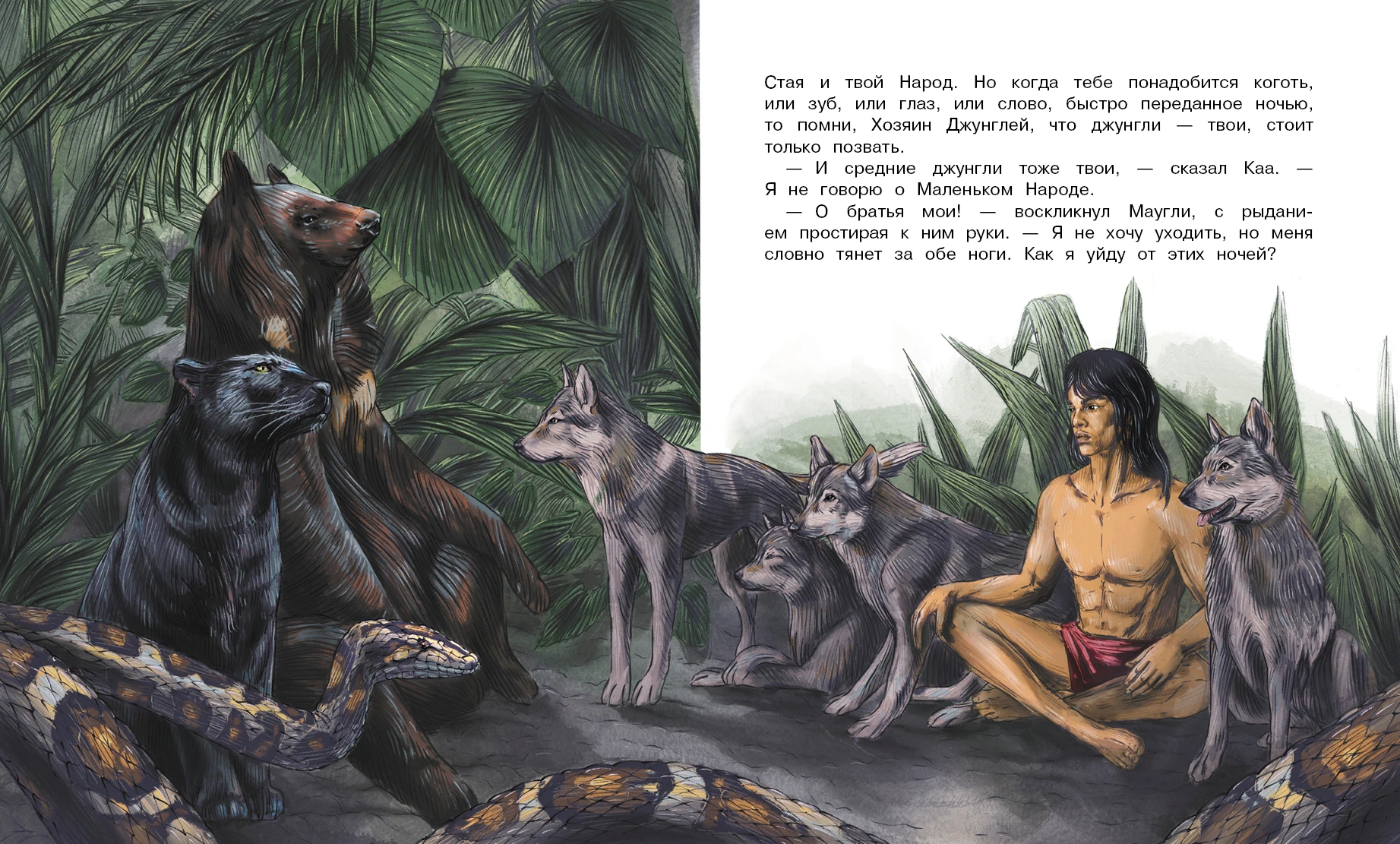 Маугли книга р. Редьярд киплинг: братья маугли. Киплинг маугли 1969. Маугли читать по страницам. Киплинг р.