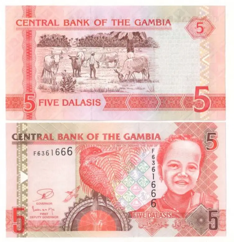 Банкноты Гамбии. Банкноты Фиджи. Банкноты Фиджи разных периодов и лет. Банкнота Гамбии 5 даласи 2015. Купюры 2013