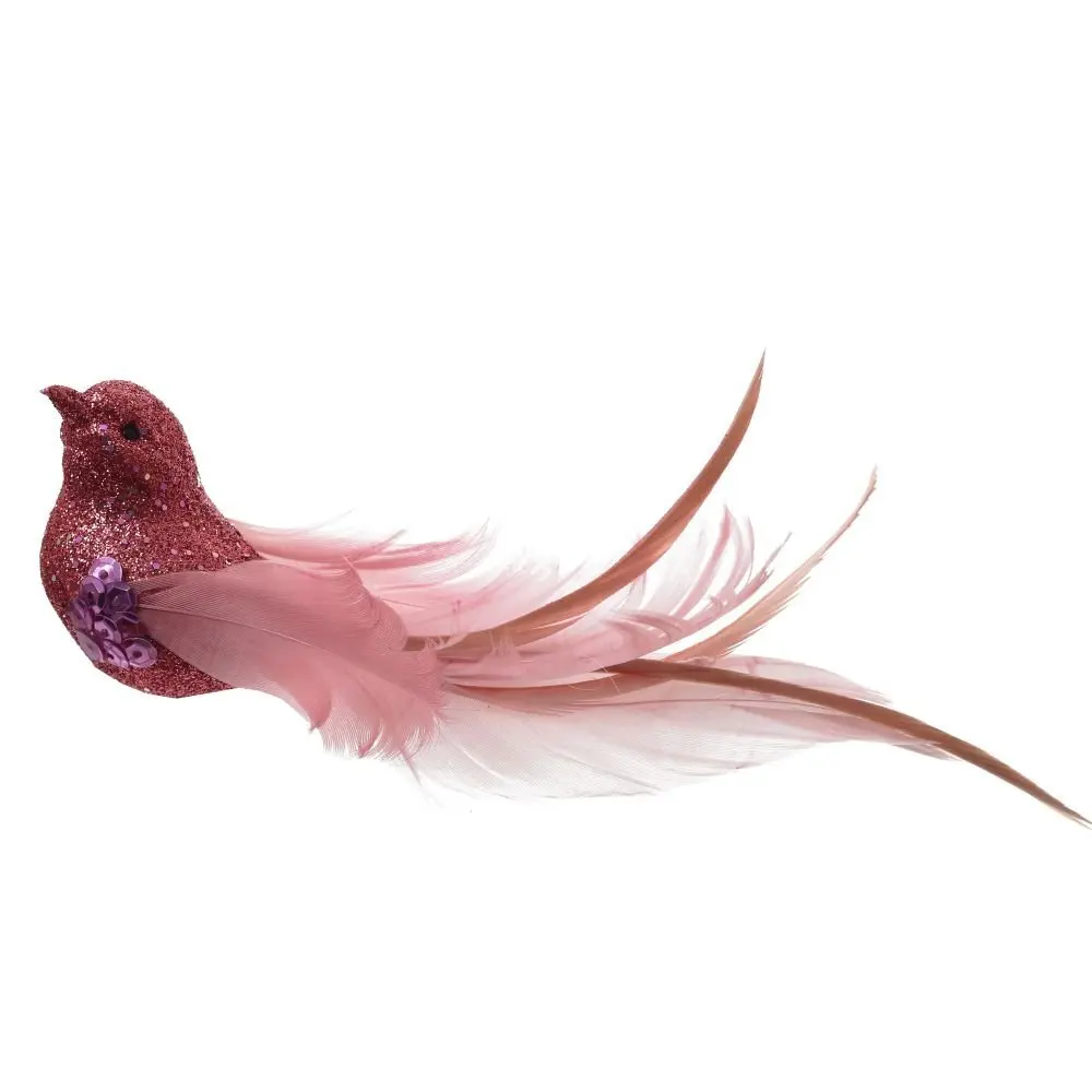 Продажа Птица Декоративное