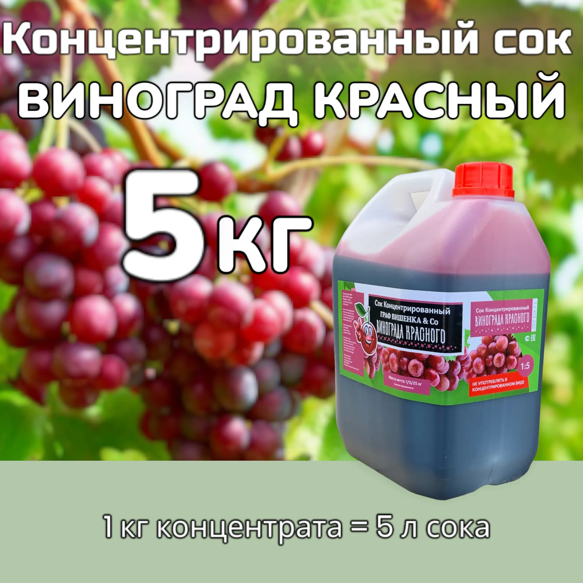 Концентрированный сок Виноград красный канистра 5 кг