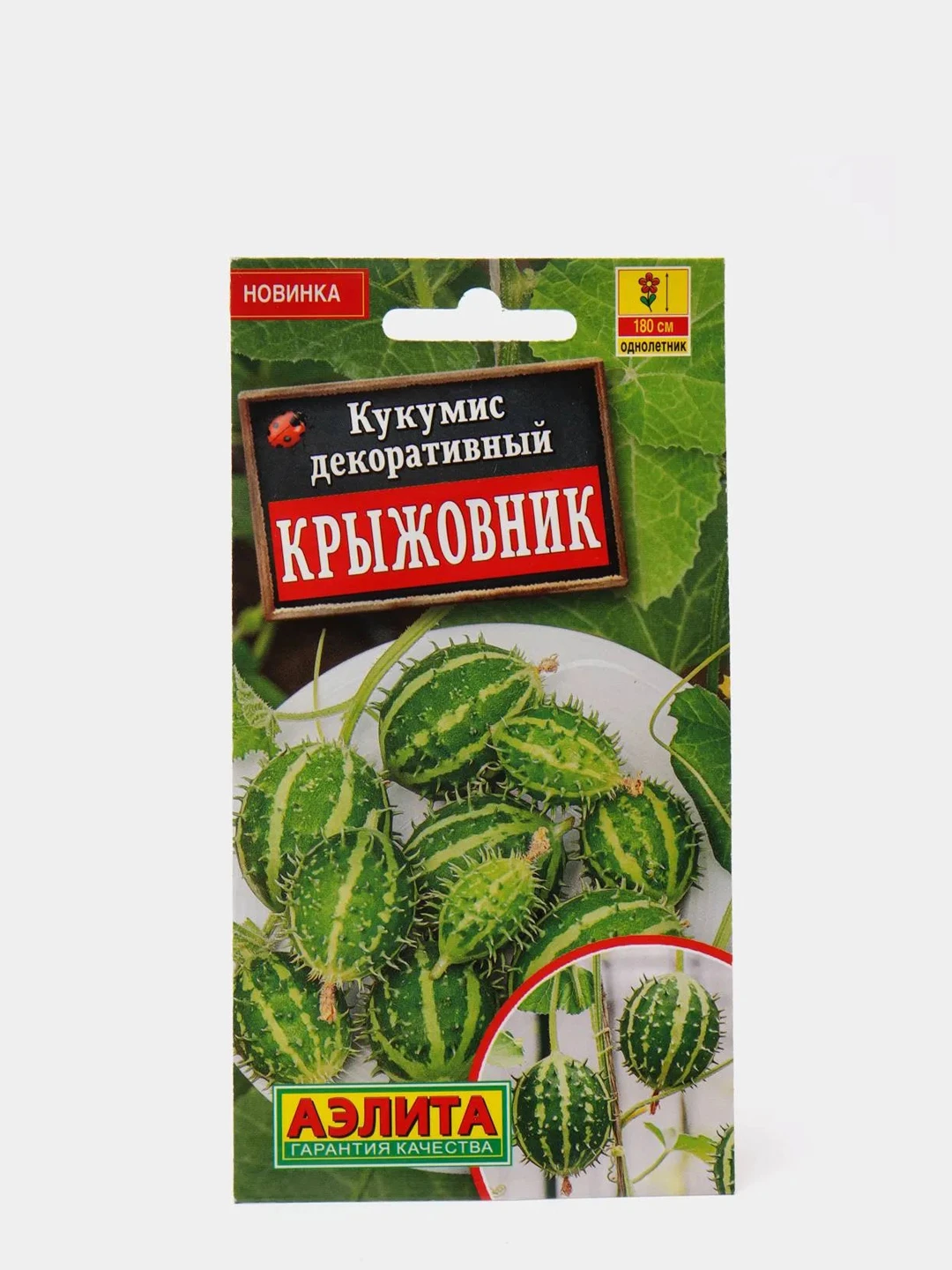 Купить Цветы Вологда На Авито