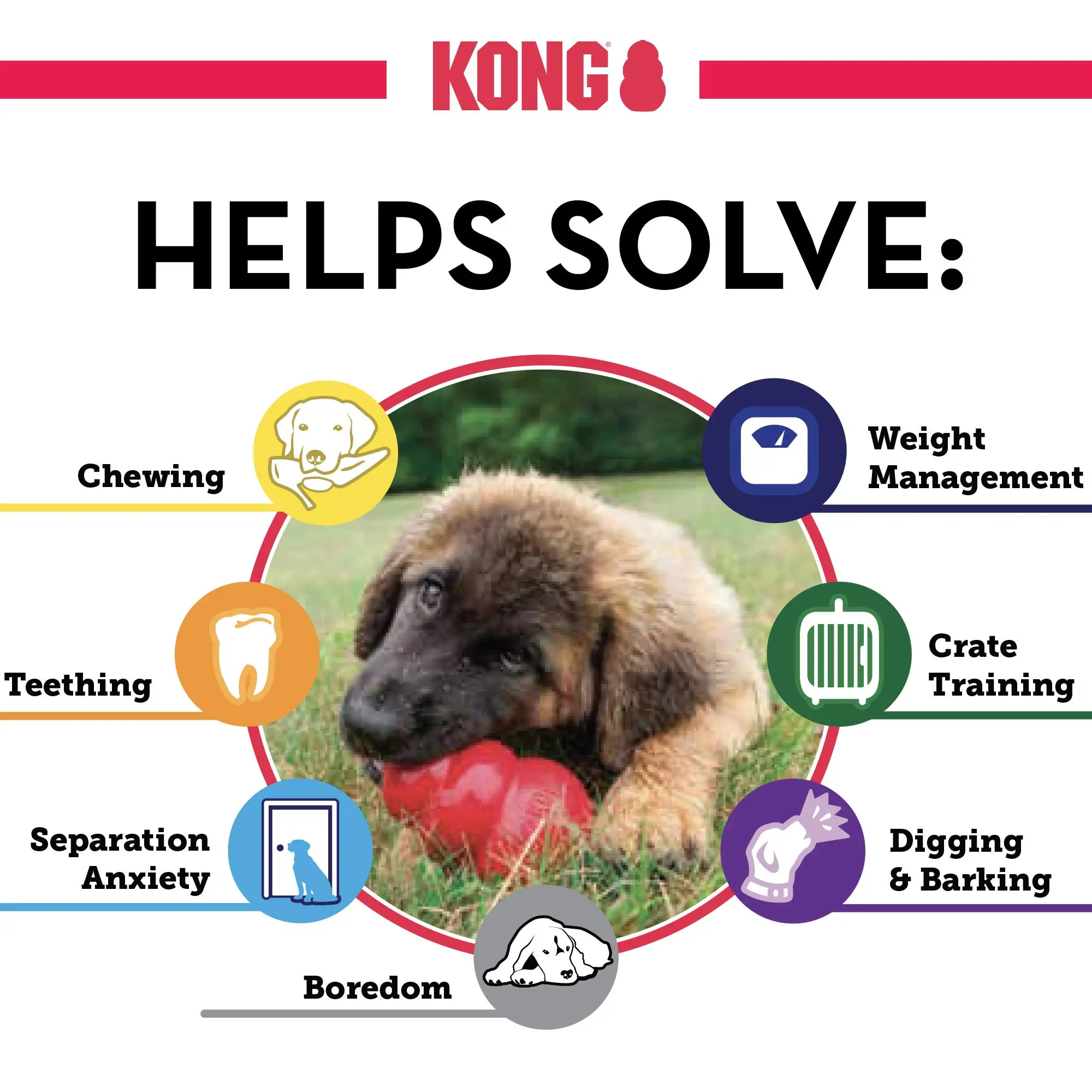 KONG - Extreme Dog Toy - Toughest Natural Rubber, Black - Fun to Chew, Chase and Fetch images - 6