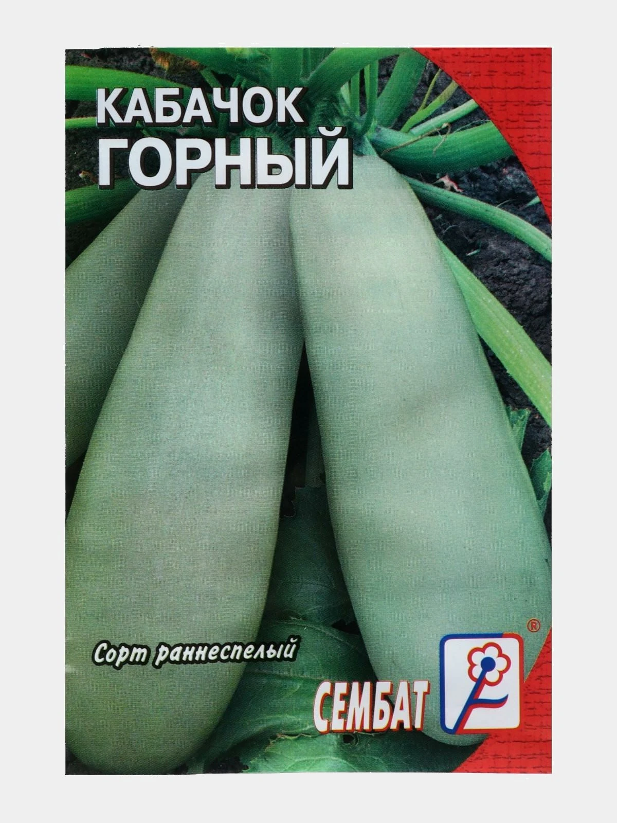 Кабачки Сосновские Фото