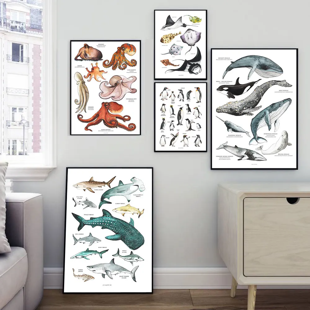 Мультяшный плакат лучи Осьминог КИТ Акула морские животные для детской комнаты