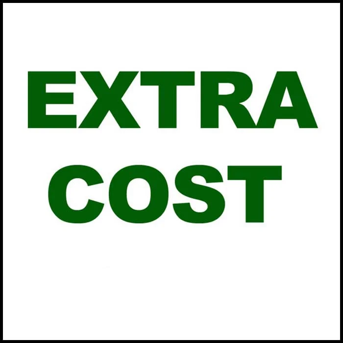 

New Special Payment Link For Extra Shipping Cost or Additional Pay on The Order Standard or Ordinary Shipping
