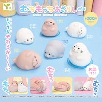 japan original genuine capsule toys cute kawaii muchi mucchi azarashi fatty seal dolls squeeze stress relief gashapon figures