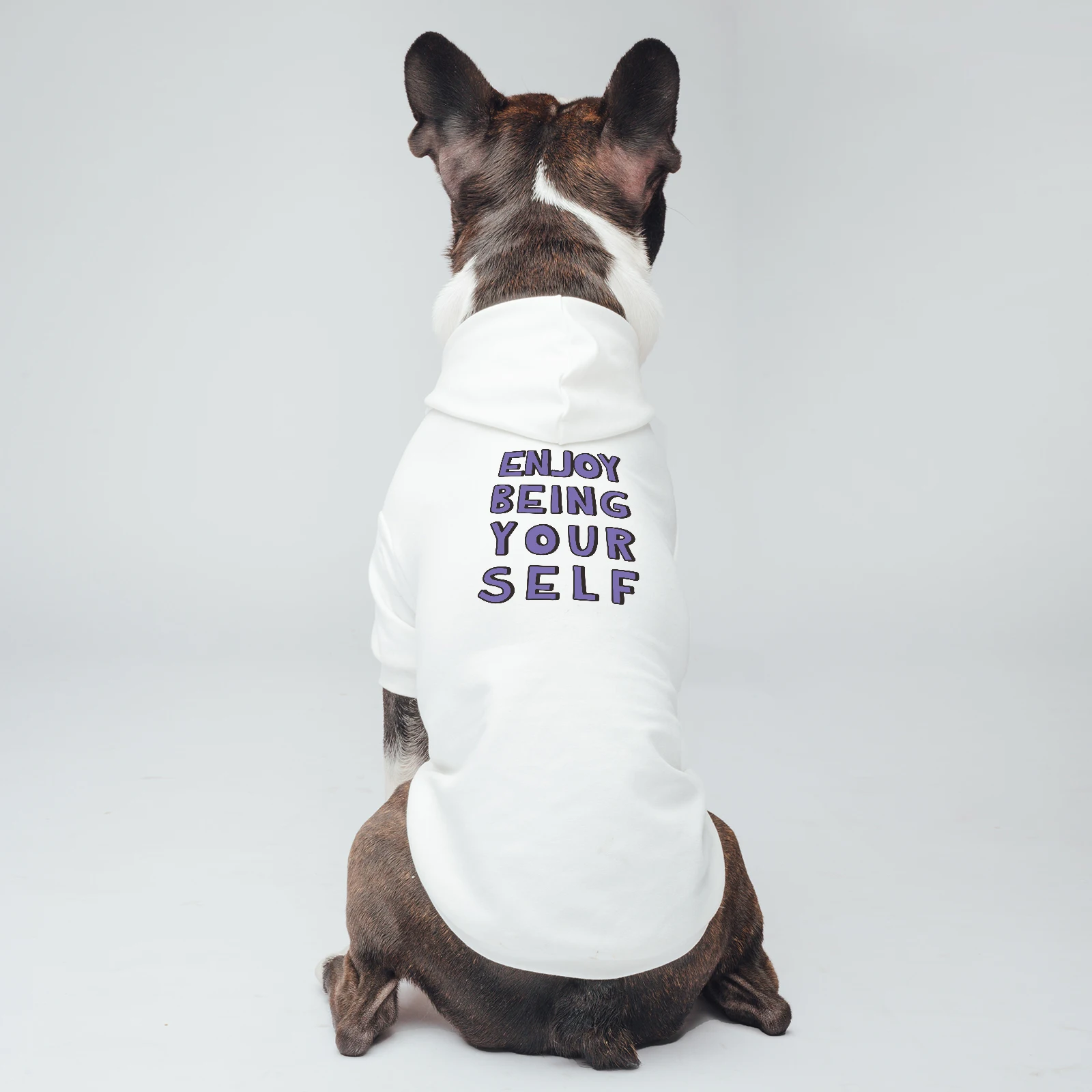

Dog Clothes Hoodie for Small Medium Large Pets and Cats, Cotton Soft Skin-Frindly Fabric Winter and Autumn to Keep Warm