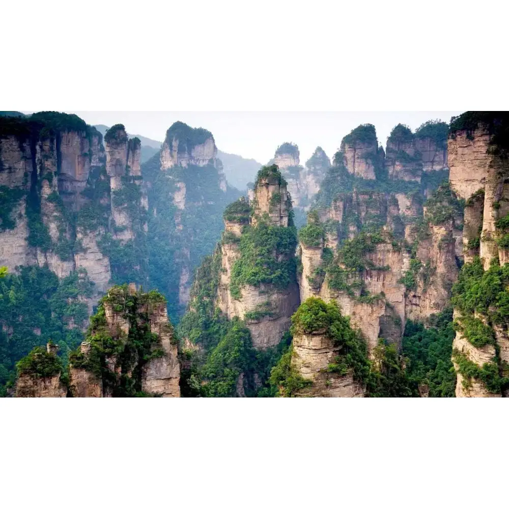 LinxOne постер 