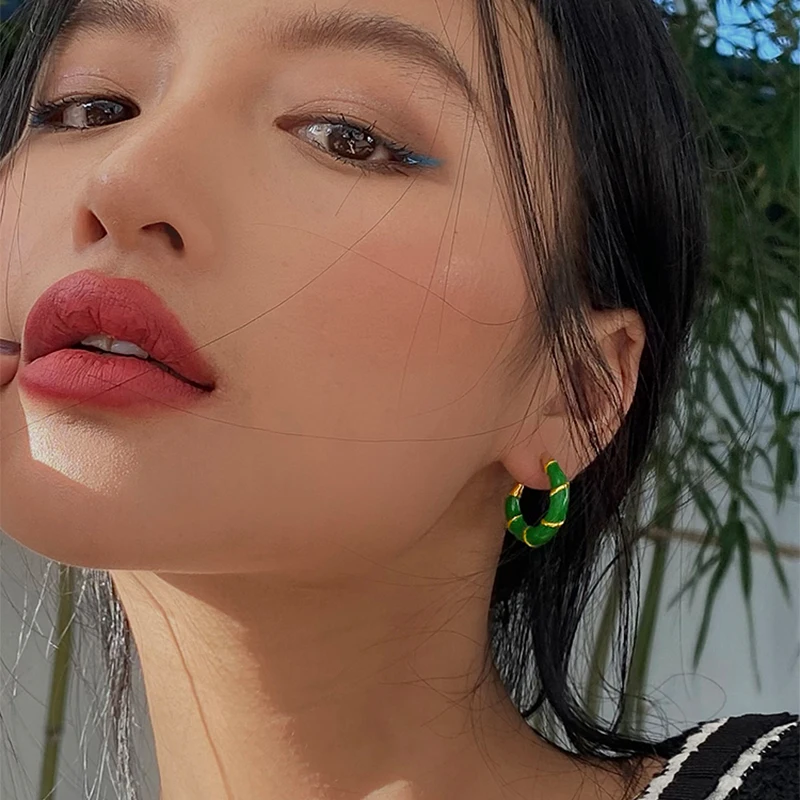 Metal Colorful Resin Hook Luxury  Earrings for Women Brand Gift Party Fashion Jewelry