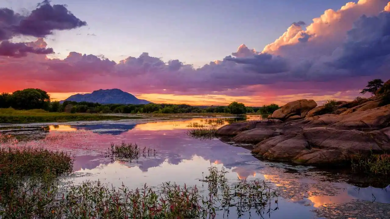 LinxOne постер на экокоже  