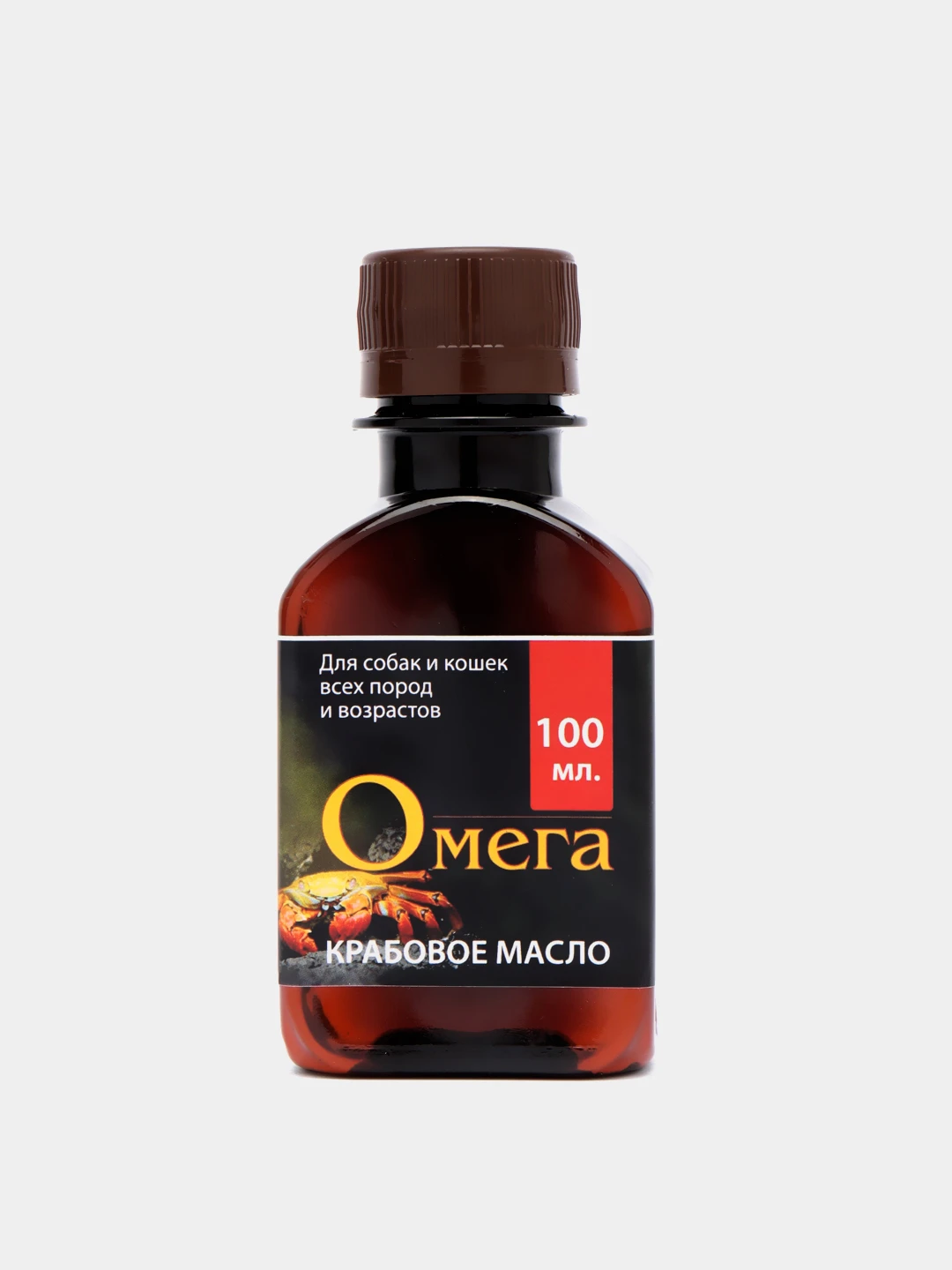 Камчатка картины художников. Картины камчатки пейзаж. Масло камчатка. Живопись вулканы камчатки. Живопись клемашов камчатка.